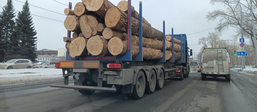 Поиск транспорта для перевозки леса, бревен и кругляка стоимость услуг и где заказать - Магас