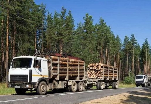 Лесовоз Лесовозы для перевозки леса, аренда и услуги. взять в аренду, заказать, цены, услуги - Назрань