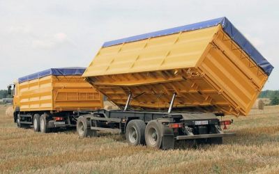 Услуги зерновозов для перевозки зерна - Назрань, цены, предложения специалистов
